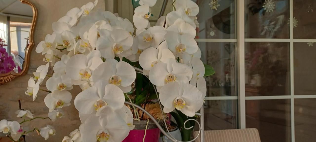 Les Orchidees Chambre Hotes Futuroscope Chasseneuil Poitiers Jaunay-Clan Buitenkant foto