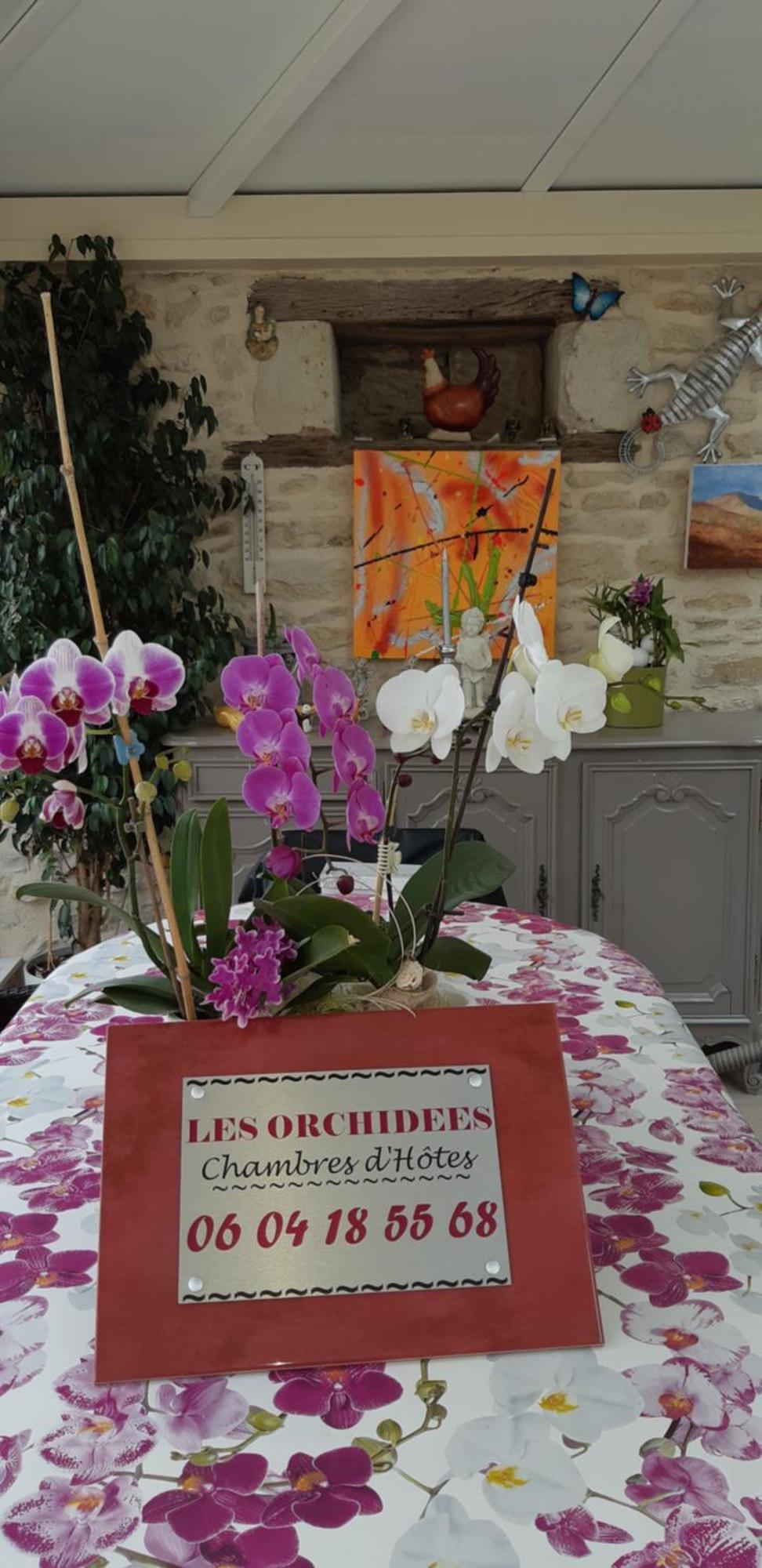 Les Orchidees Chambre Hotes Futuroscope Chasseneuil Poitiers Jaunay-Clan Buitenkant foto